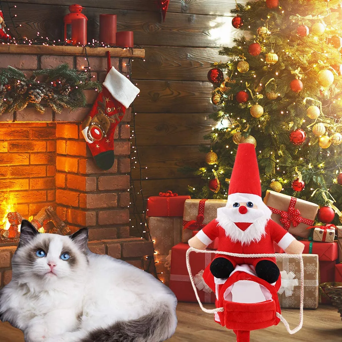 Santa Claus Dog Outfit  
Pet Christmas Clothes Clearance Christmas Dog Costume Funny Dog Christmas Santa Claus Costume Riding on Dog Pet Cat Christmas Holiday Outfit Pet Christmas Clothes Dressing up for Halloween Christmas Party(Large)